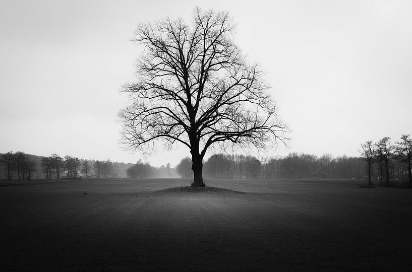 Einsamer Baum von Eric Andriessen