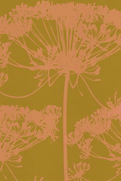 Minimalistische botanische tekening van dillebloem in koraal en oker van Dina Dankers
