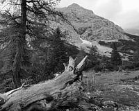 Gebirge in Schwarzweiß
