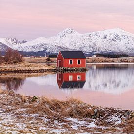 Lofoten, einsame Fischerhütte im Abendlicht 1/2 von Harald Marchhart