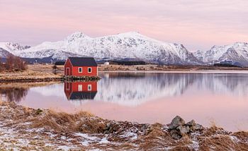 Lofoten, einsame Fischerhütte im Abendlicht 1/2