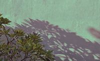 Bali Schatten an der Wand 2