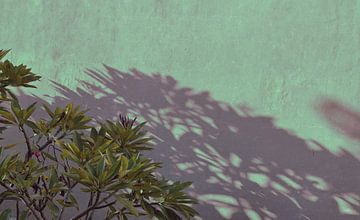 Bali Schatten an der Wand 2 von Raymond Wijngaard