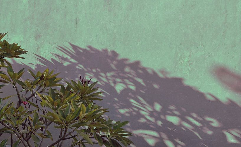 Bali Shadow on the Wall 2 by Raymond Wijngaard