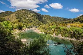 Buller Gorge Swing Bridge, New Zealand