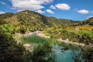 Buller Gorge Swing Bridge, Neuseeland von Christian Müringer