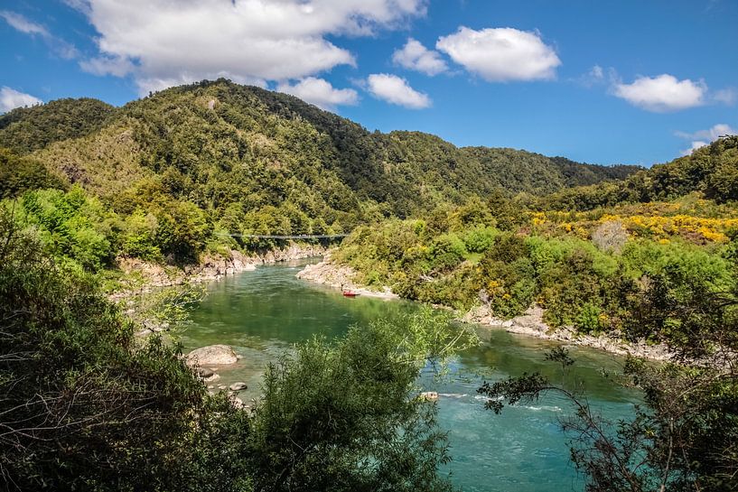 Buller Gorge Swing Bridge, New Zealand by Christian Müringer