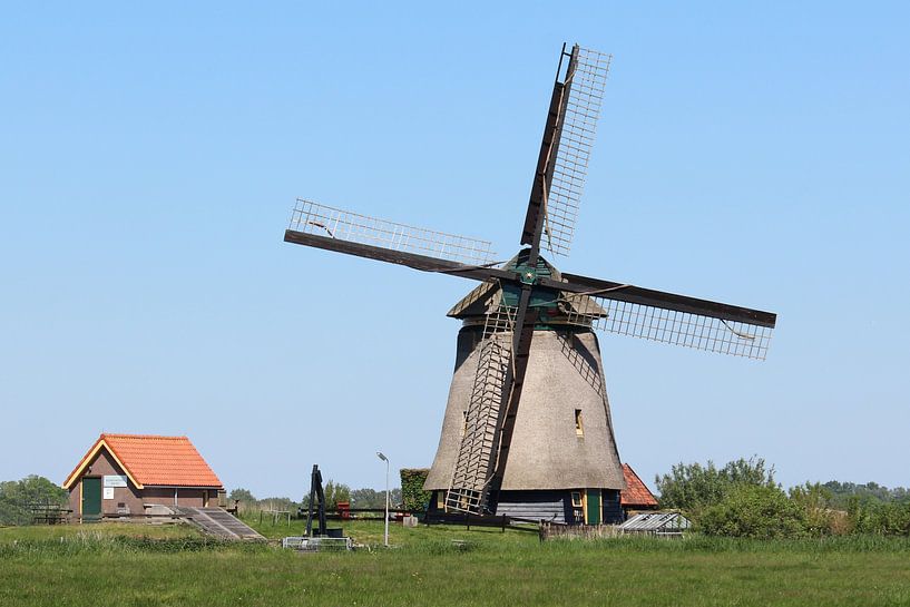 Molen De Bosmolen, Bergen par Jeroen Koppes