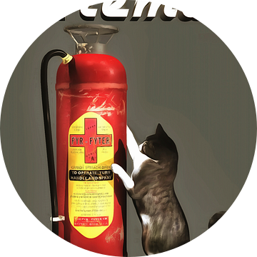 Katten: brandweerman van Jan Keteleer