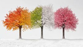 Seasonal trees colourful panorama by TheXclusive Art
