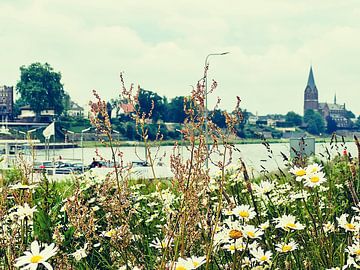 Flowers on the Maas by Rob Pijnenburg