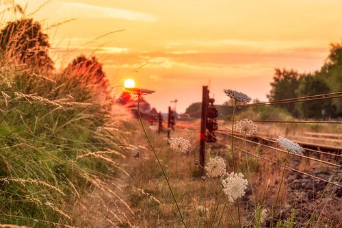 Zonsopkomst op het spoor in Simpelveld