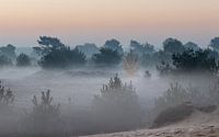 Sonnenaufgang Heideland Aekingerzand von P Kuipers Miniaturansicht