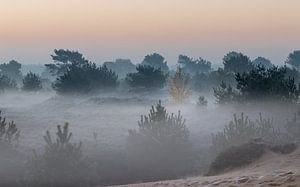 Sonnenaufgang Heideland Aekingerzand von P Kuipers