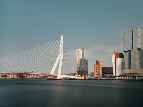 Erasmus Bridge, Rotterdam