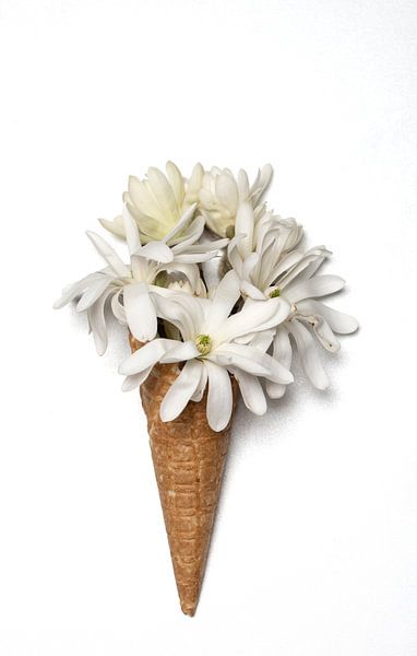 Ein weißes Blumeneis von MirjamCornelissen - Fotografie