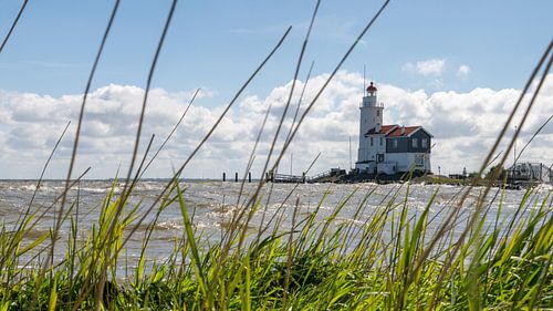 Paard van Marken