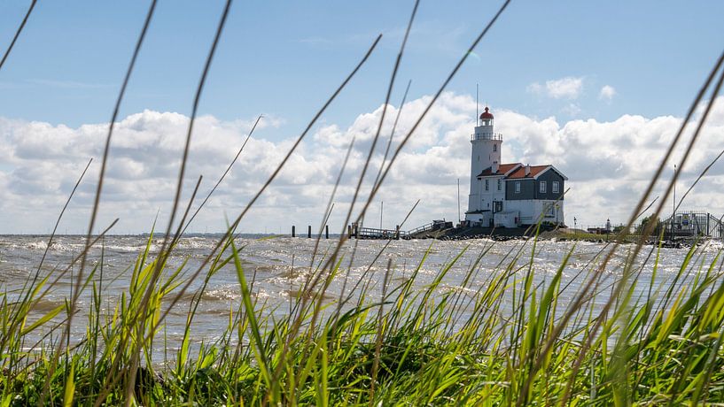 Horse of Marken by Peter Bartelings