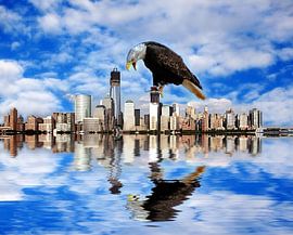 New York van Renate Knapp