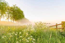 Frühmorgendlicher Sonnenaufgang an einem schönen Frühlingstag über dem Zwartendijk, von Sjoerd van der Wal Fotografie