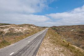 Zandvoort cycle path by Richard Wareham