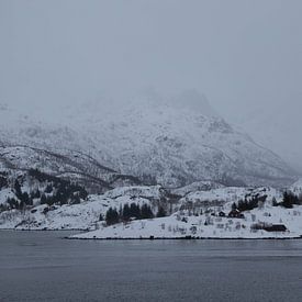 Mistige berg in Lofoten von Ymala Antonsen