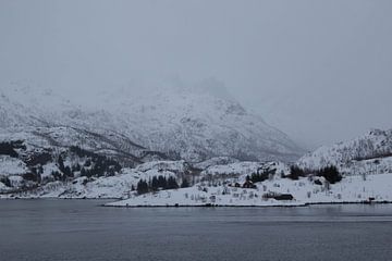 Mistige berg in Lofoten van Ymala Antonsen