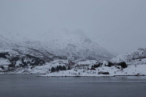 Mistige berg in Lofoten