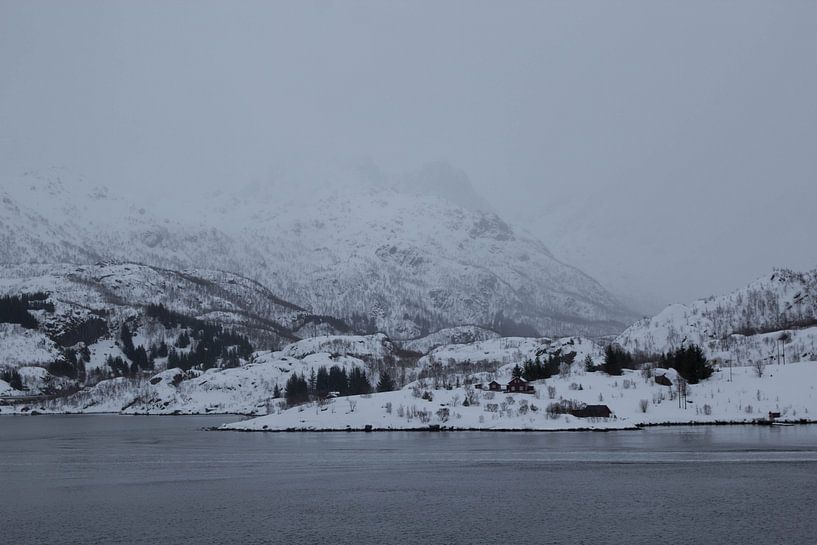 Mistige berg in Lofoten by Ymala Antonsen