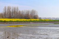Prachtig uitzicht op het laagstaande water