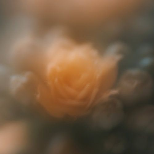 Softness is beauty