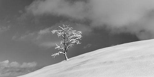 Natuurlandschap bij Füssen in de winter