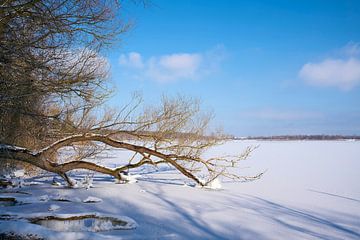 Meer op een winterse dag