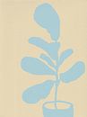 Ficus Lyrata. Fiddle-leaf vijg in lichtblauw op beige. van Dina Dankers thumbnail