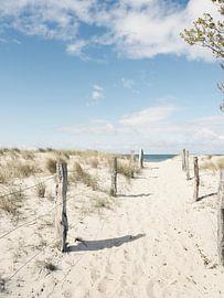 Pathway to the beach, Baltic Sea