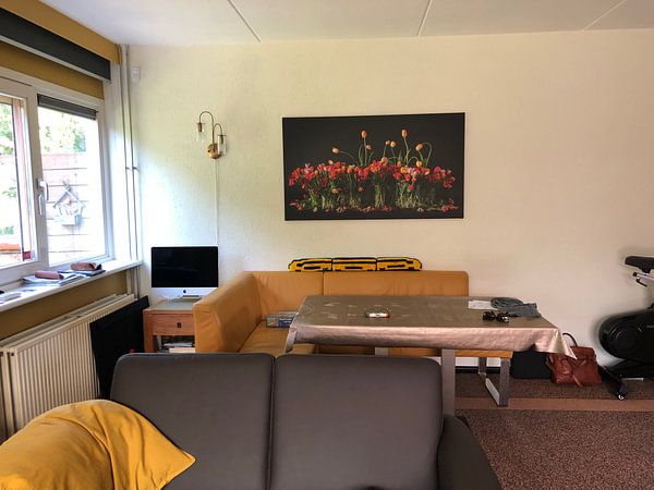 Customer photo: Tulips from Holland by Dirk Verwoerd, on canvas