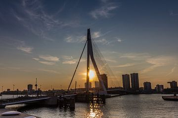 Rotterdam by Brandon Lee Bouwman