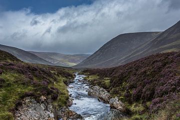 Landschap  Schotland Landscape Scotland by Ronald Groenendijk