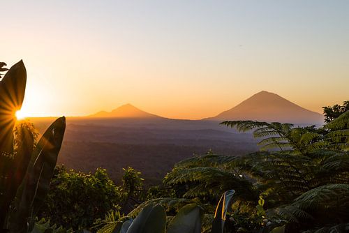 Zonsopgang vanuit de jungle bijj de Agung vulkaan en Jatiluwih, Bali