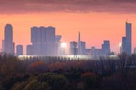 De Kuip - Feyenoord und Skyline Rotterdam von Vincent Fennis Miniaturansicht