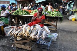 Visvrouw Georgetown by Bertus Mekes