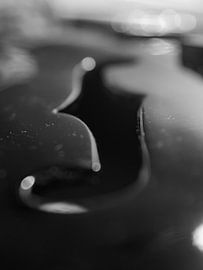 A Guitar detail in black and white by Mr White Takes Pictures