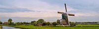 Wingerdse molen (Bleskensgraaf)