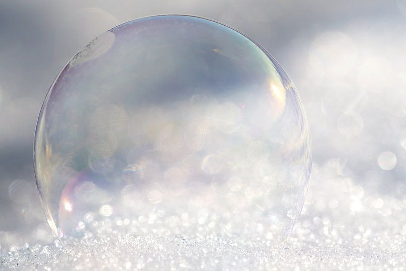 Transparenz von Ulrike Leone