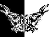 Zwart-wit abstracte vormen van Elles Rijsdijk thumbnail