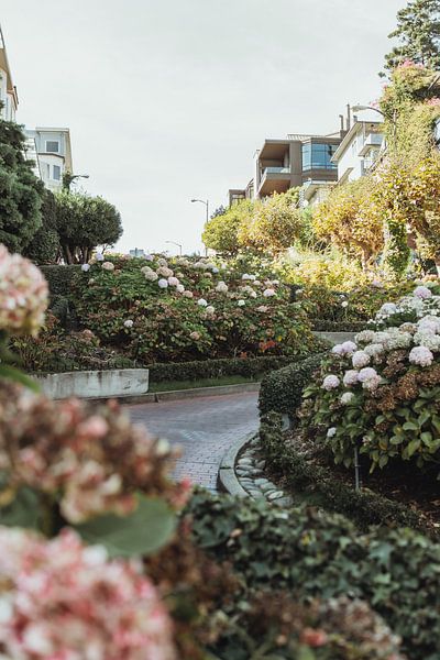 Blumen in der Lombard Street San Francisco | Reisefotografie Fine Art Photo Print | Kalifornien, U.S von Sanne Dost