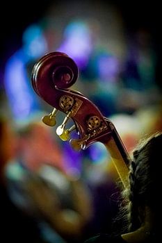 Cello Hals Farbeffekt Abend Fotografie