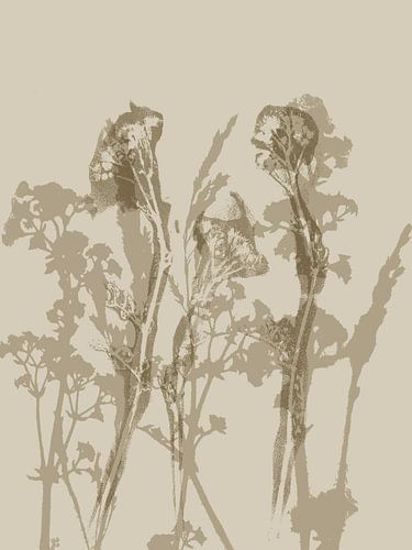 Minimalist botanical art in in neutral beige colors by Dina Dankers