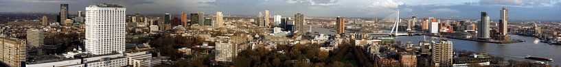 Panorama Rotterdam van Patrick de Joode