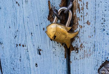 Close-up of closed padlock in fish design, maritime background by Alex Winter